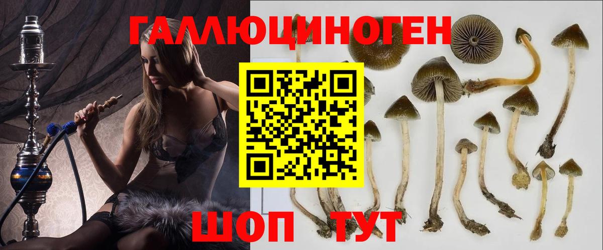 где купить наркотик  Псилоцибиновые грибы Psilocybine cubensis  Вход с VPN  Муравленко 